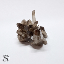 Load image into Gallery viewer, Smokey Lemurian Quartz 27g