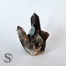 Load image into Gallery viewer, Morion Lemurian Quartz 39g