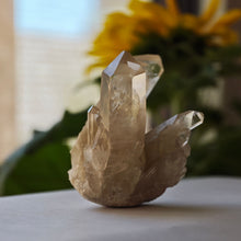 Load image into Gallery viewer, Raw Citrine Cluster  Points – 113g I Untreated Golden Quartz from Madagascar
