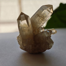 Load image into Gallery viewer, Raw Citrine Cluster  Points – 113g I Untreated Golden Quartz from Madagascar

