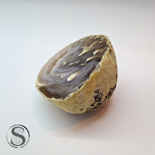 Load image into Gallery viewer, Agate Geode Rare - Brazil
