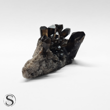 Load image into Gallery viewer, Morion Lemurian Quartz 61g
