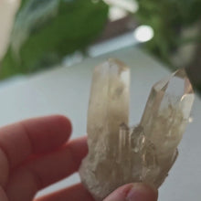 Load and play video in Gallery viewer, Raw Citrine Cluster  Points – 113g I Untreated Golden Quartz from Madagascar
