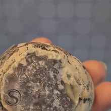 Load and play video in Gallery viewer, Agate Geode Rare - Brazil
